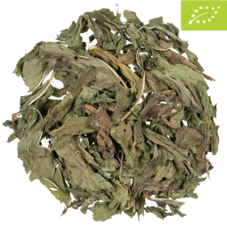 Käutertee Bio Nana-Minze pur