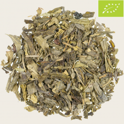 Bio Sencha entkoffeiniert DE-ÖKO-039