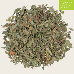 Käutertee Bio Pfefferminze pur