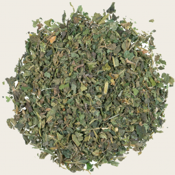 Käutertee Brennessel pur